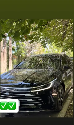 BYD Chazor 55 км