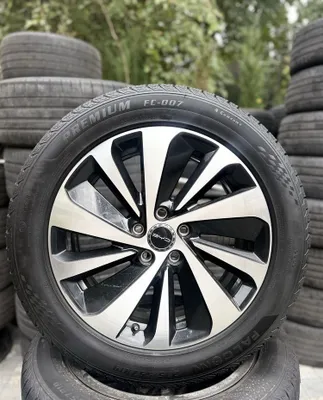 Byd chempion arginal diska R19 1