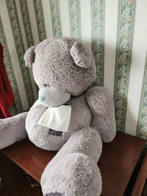 teddy мишка 1