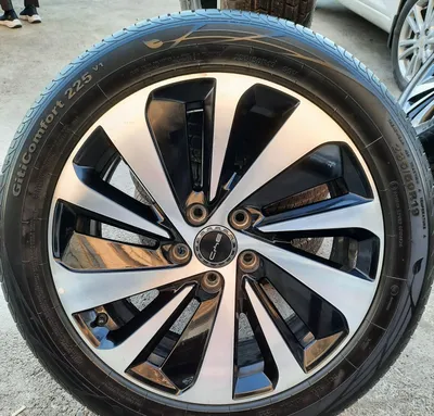 Byd chempion disk balon