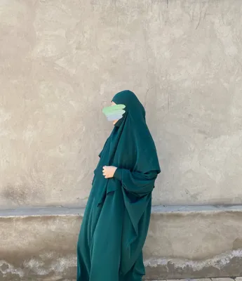 абая + химар 1