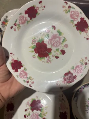 tarelkalar gulli 1