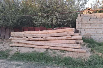 O'tin, Utin sotiladi (19 та 4 метрлик терак тусинлар. 10 таси ярокли)) 1