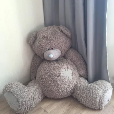Katta ayiqcha "TEDI"