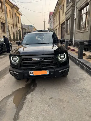 Haval Dargo 2024 1