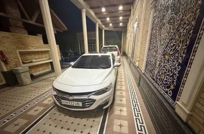 Malibu 2 Premier, белый жемчуг 1