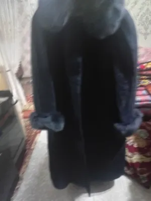 Palto 1