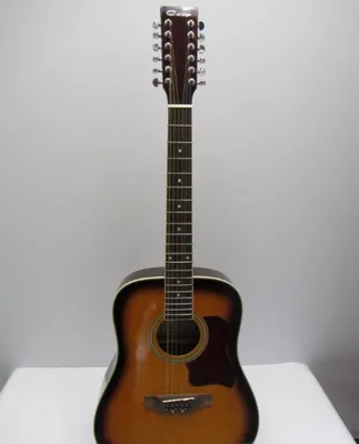 12 Strunalik Gitara sotiladi