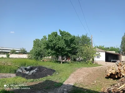 Hovli uy 60soʻtik turar joy Toshkent viloyati Piskent tumanida 1
