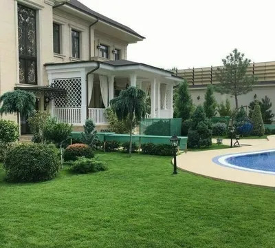Арча кесамиз Богбон 1
