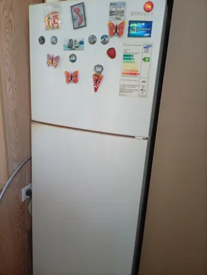 Samsung muzlatgichi 1