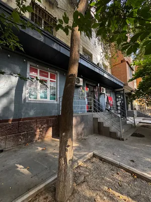 Аренда помещение 250 м², Мирабадский · ID 90 1