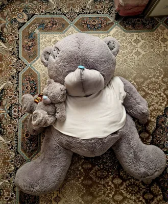 Плюс 2 мишки в подарок к плюшевому мишке Teddy 1