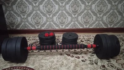 Гантель весом 30 кг 1