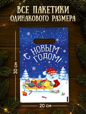 Sovg‘a paketlari, 10 dona to‘plam, 20 x 30 sm 1