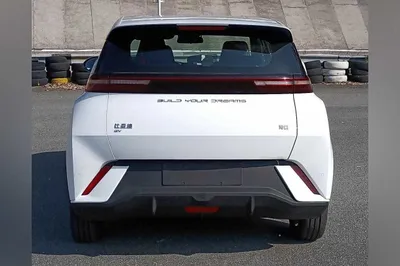 Byd Seagull orqa oyna 1