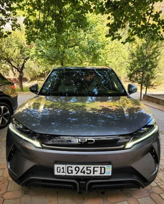 Byd Yuan Up Sotiladi 2026 yil 1