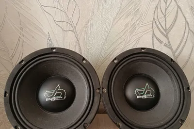 DB Deaf bonse w80 1