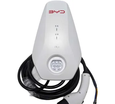 Зарядное устройство BYD 7 кВт 1