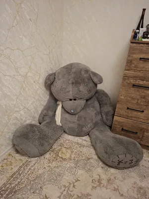 teddy ayiq