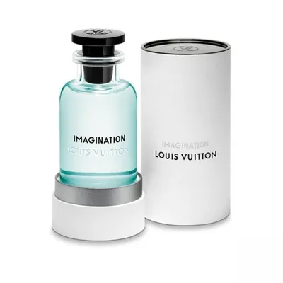 Louis vuitton imagination 1