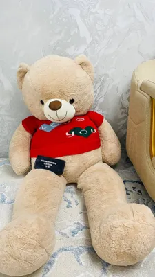 Teddy 1.6m Yangi:olingan kuniyoq strechlangan 2