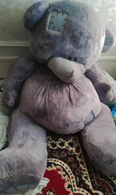 Teddy mishka holat yangi faqat oladiganlar tel qilsin iltimos