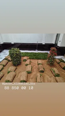 Есть услуги по газону 1