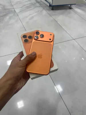 iPhone 17 Pro Max 256 ГБ 1