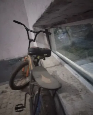 Zor velik bars nomi 24 razmer 1