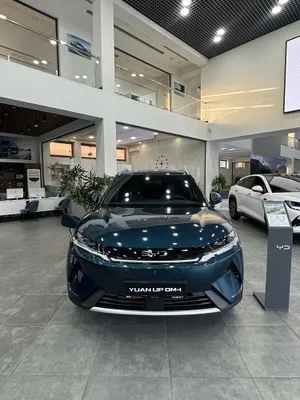 Byd yuan up dm 110 km 1