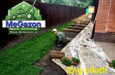 GAZON xizmati TOSHKENT 35000 1