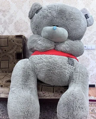 Мишка тедди новый 1