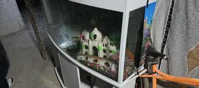 Аквариум продается 100л 1