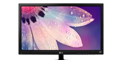 Монитор LG 19M38A-B новый 1