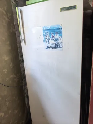 Orsk muzlatgichi sotiladi 1
