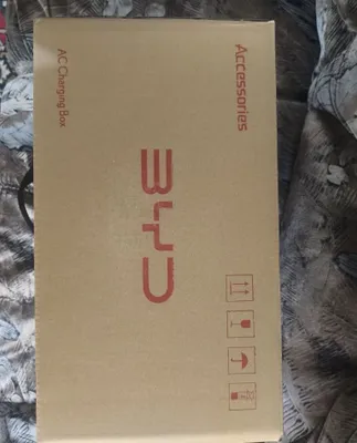 BYD AC Charging Box 1