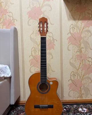 Klassik gitara 1