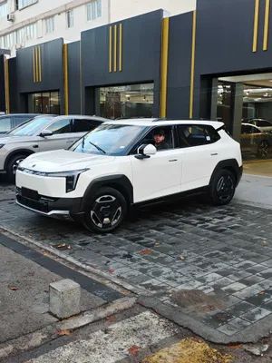 Официальный Dongfeng Nammi 06 1