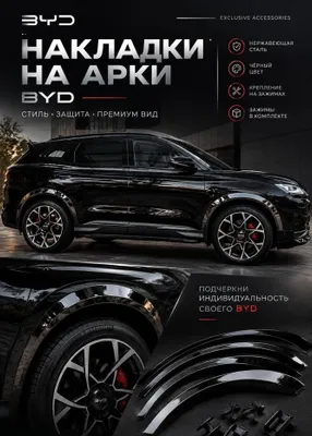 BYD Champion uchun arka qoplamalari 1