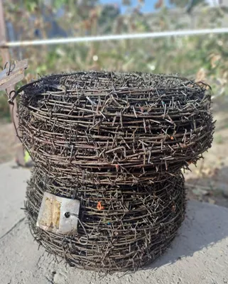 Тиконли сим 2 та рулон. Колючовая проволка 2 рулона. 1