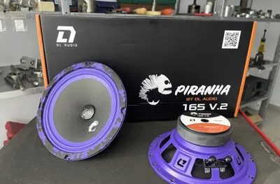 Dl audio piranha 165 v2 1