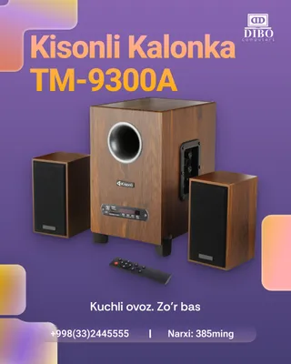 Kisonli TM-9300A | Колонка