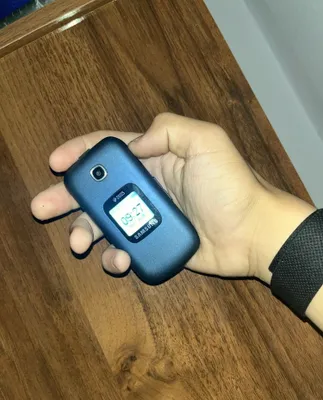 Samsung gusto 3 flip 1
