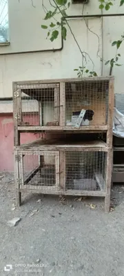 Продаются клетки 1