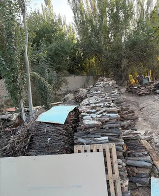 Zangota tumanida otin bor 1