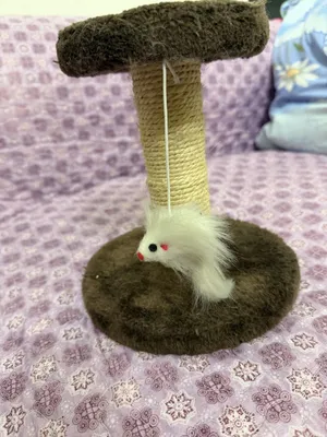 Когтечка для котят