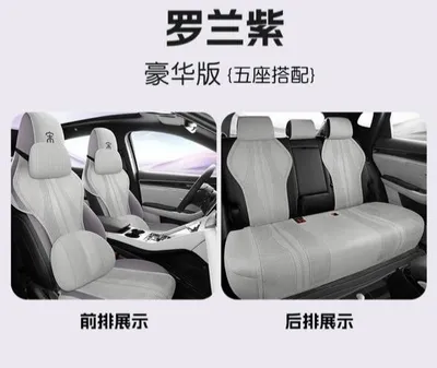 Чехлы для BYD Song Plus Champion. 1