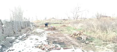 Dakument hammasi bor Manzilimiz Toshkent viloyati Parkent tumani 1