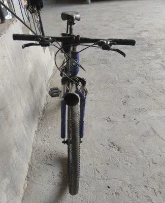 BMW velosiped rangi kok 1